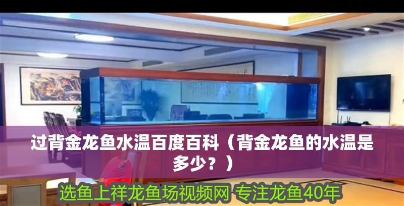 過背金龍魚水溫百度百科（背金龍魚的水溫是多少？）