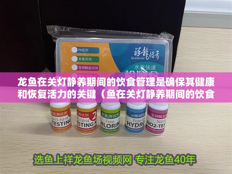 龍魚在關(guān)燈靜養(yǎng)期間的飲食管理是確保其健康和恢復(fù)活力的關(guān)鍵（魚在關(guān)燈靜養(yǎng)期間的飲食管理是確保其健康和恢復(fù)活力的關(guān)鍵）