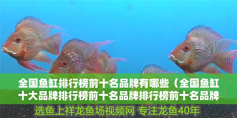 全國魚缸排行榜前十名品牌有哪些（全國魚缸十大品牌排行榜前十名品牌排行榜前十名品牌有哪些） 全國魚缸排行榜前十名品牌有哪些（全國魚缸十大品牌排行榜前十名品牌排行榜前十名品牌有哪些） 觀賞魚百科
