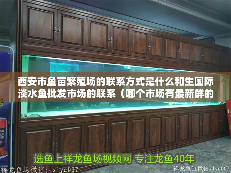 <strong><mark>西安</mark></strong>市魚苗繁殖場的聯系方式是什么和生國際淡水魚批發市場的聯系（哪個市場有最新鮮的魚苗）