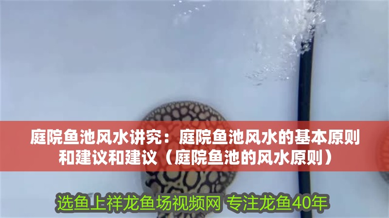 庭院魚池風水講究：庭院魚池風水的基本原則和建議和建議（庭院魚池的風水原則）