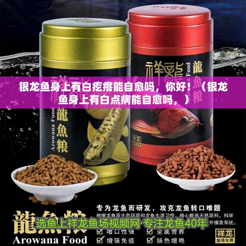 銀龍魚身上有白疙瘩能自愈嗎，你好！（銀龍魚身上有白點病能自愈嗎，）