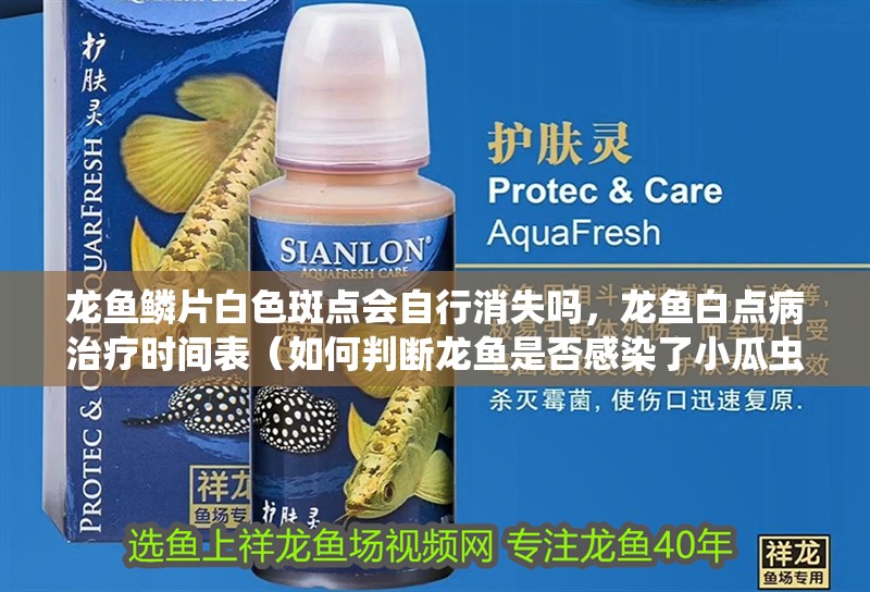 龍魚鱗片白色斑點會自行消失嗎，龍魚白點病治療時間表（如何判斷龍魚是否感染了小瓜蟲病？）