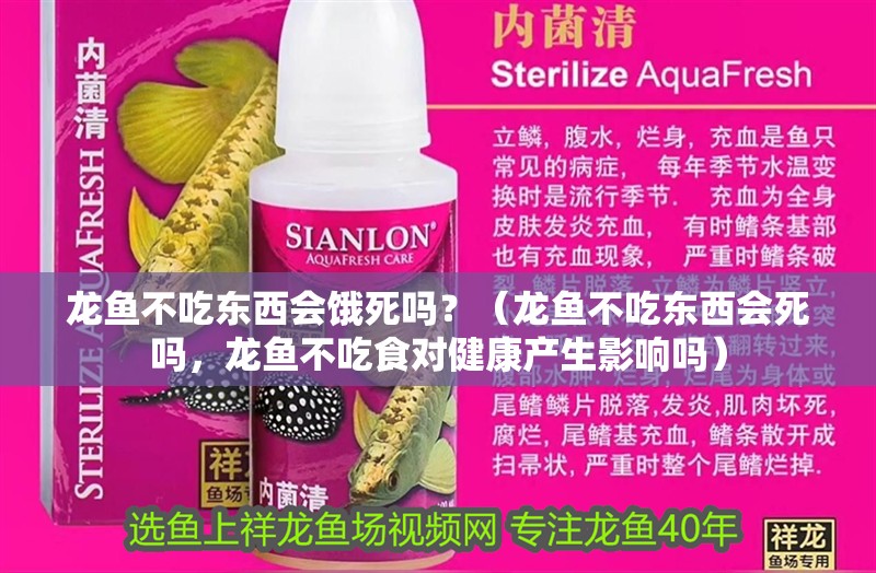 龍魚不吃東西會餓死嗎？（龍魚不吃東西會死嗎，龍魚不吃食對健康產生影響嗎） 龍魚不吃東西會餓死嗎？（龍魚不吃東西會死嗎，龍魚不吃食對健康產生影響嗎） 龍魚百科
