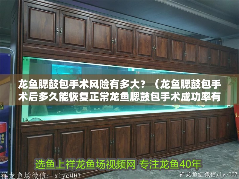 龍魚(yú)腮鼓包手術(shù)風(fēng)險(xiǎn)有多大？（龍魚(yú)腮鼓包手術(shù)后多久能恢復(fù)正常龍魚(yú)腮鼓包手術(shù)成功率有多高）