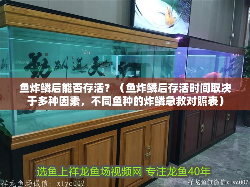 魚炸鱗后能否存活？（魚炸鱗后存活時間取決于多種因素，不同魚種的炸鱗急救對照表）