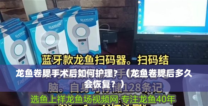 龍魚卷腮手術后如何護理？（龍魚卷腮后多久會恢復？）