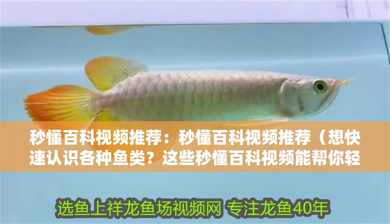 秒懂百科視頻推薦：秒懂百科視頻推薦（想快速認識各種魚類？這些秒懂百科視頻能幫你輕松搞定！）