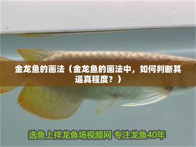金龍魚的畫法（金龍魚的畫法中，如何判斷其逼真程度？）