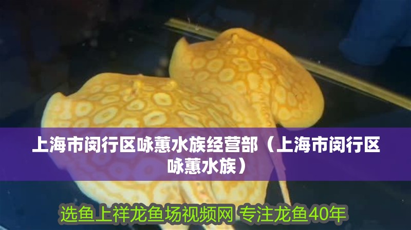上海市閔行區詠蕙水族經營部（上海市閔行區詠蕙水族）