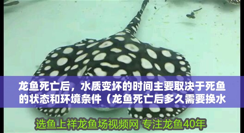 龍魚死亡后，水質變壞的時間主要取決于死魚的狀態和環境條件（龍魚死亡后多久需要換水？） 龍魚死亡后，水質變壞的時間主要取決于死魚的狀態和環境條件（龍魚死亡后多久需要換水？） 龍魚百科