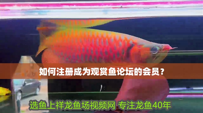 如何注冊成為觀賞魚論壇的會員？