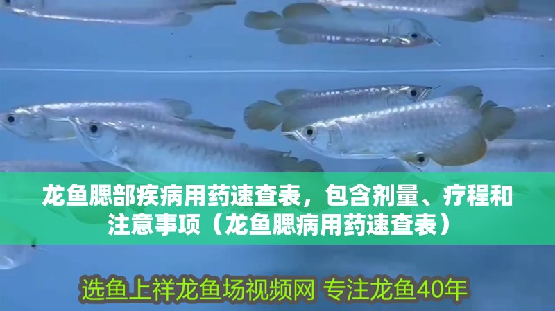 龍魚腮部疾病用藥速查表，包含劑量、療程和注意事項（龍魚腮病用藥速查表）