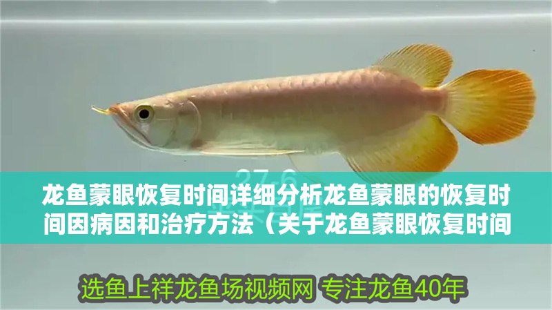 龍魚蒙眼恢復時間詳細分析龍魚蒙眼的恢復時間因病因和治療方法（關于龍魚蒙眼恢復時間的詳細分析）