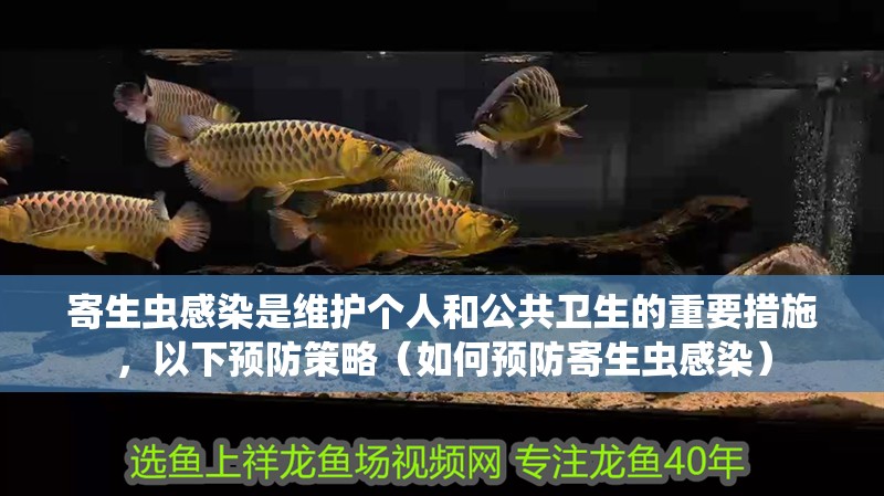 寄生蟲(chóng)感染是維護(hù)個(gè)人和公共衛(wèi)生的重要措施，以下預(yù)防策略（如何預(yù)防寄生蟲(chóng)感染）