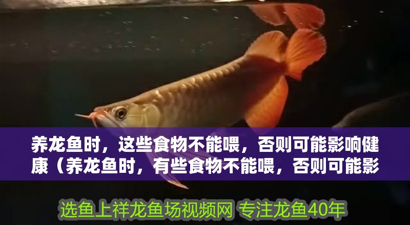 養(yǎng)龍魚(yú)時(shí)，這些食物不能喂，否則可能影響健康（養(yǎng)龍魚(yú)時(shí)，有些食物不能喂，否則可能影響健康甚至危及生命）