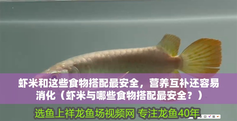 蝦米和這些食物搭配最安全，營養(yǎng)互補(bǔ)還容易消化（蝦米與哪些食物搭配最安全？）