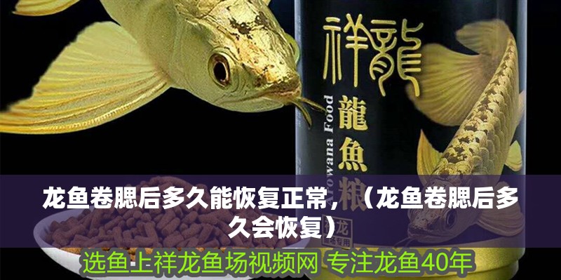 龍魚卷腮后多久能恢復正常，（龍魚卷腮后多久會恢復）