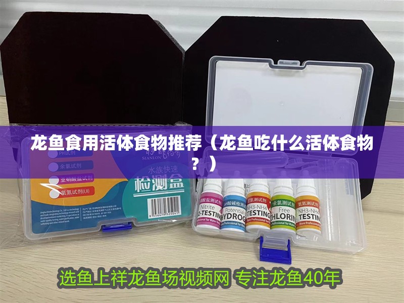 龍魚食用活體食物推薦（龍魚吃什么活體食物？）