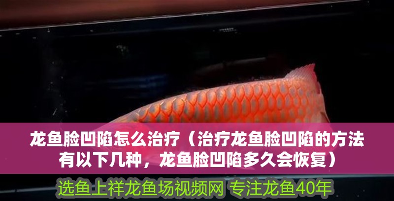 龍魚臉凹陷怎么治療（治療龍魚臉凹陷的方法有以下幾種，龍魚臉凹陷多久會恢復(fù)）