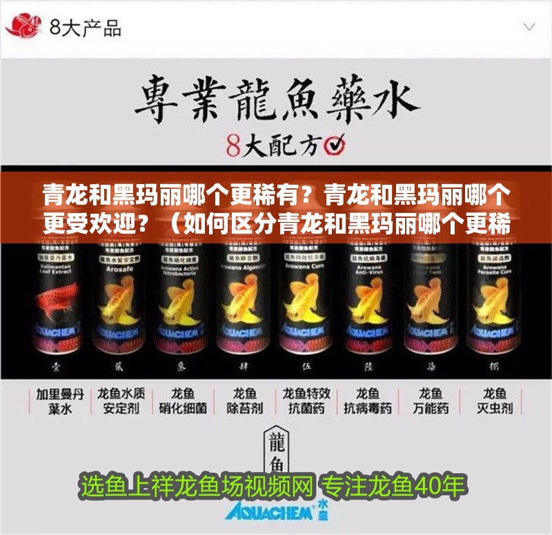 青龍和黑瑪麗哪個更稀有？青龍和黑瑪麗哪個更受歡迎？（如何區(qū)分青龍和黑瑪麗哪個更稀有？青龍和黑瑪麗哪個更受歡迎？）