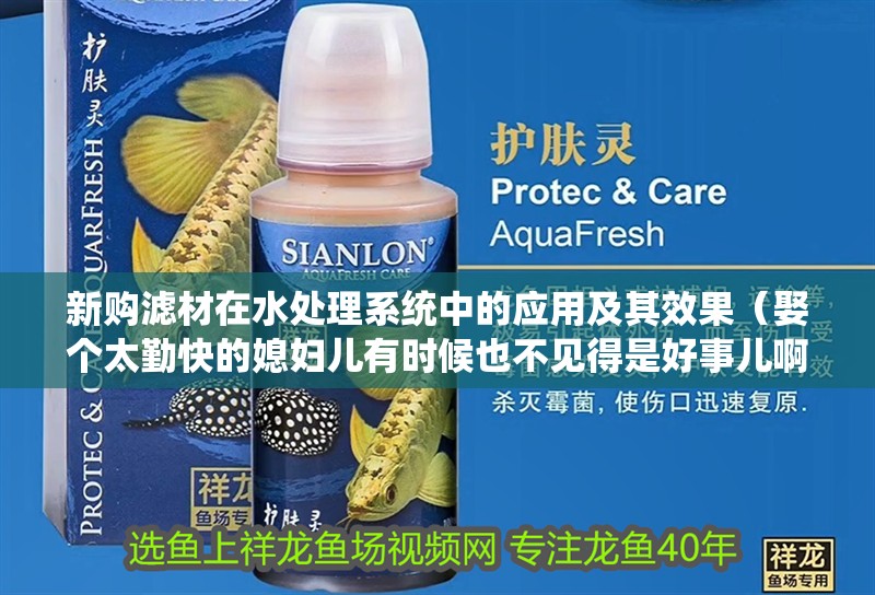 新購濾材在水處理系統中的應用及其效果（娶個太勤快的媳婦兒有時候也不見得是好事兒啊）