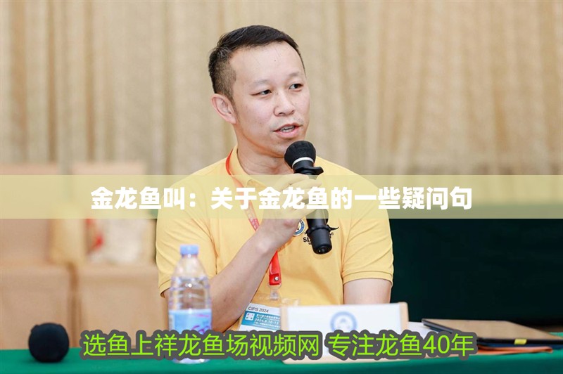 金龍魚叫：關(guān)于金龍魚的一些疑問句
