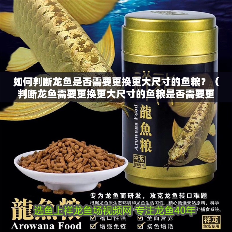 如何判斷龍魚是否需要更換更大尺寸的魚糧？（判斷龍魚需要更換更大尺寸的魚糧是否需要更大尺寸的魚糧）