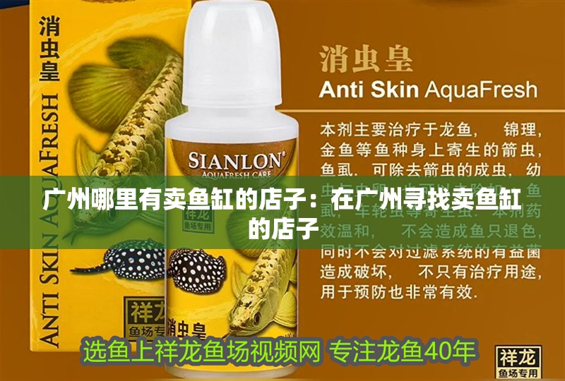 廣州哪里有賣魚缸的店子：在廣州尋找賣魚缸的店子