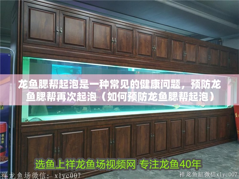 龍魚腮幫起泡是一種常見的健康問題，預(yù)防龍魚腮幫再次起泡（如何預(yù)防龍魚腮幫起泡）