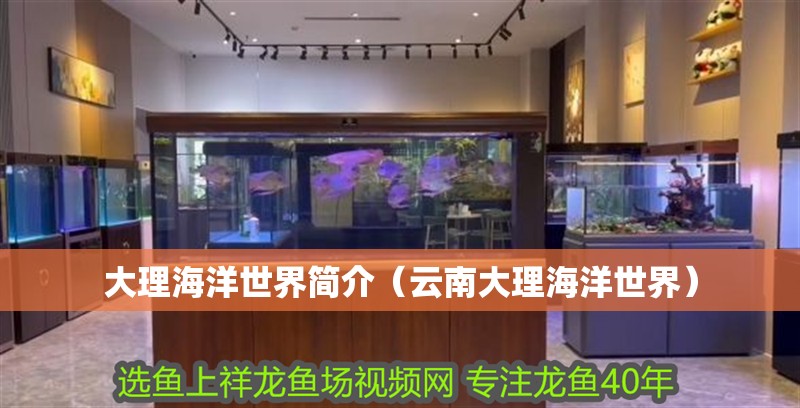 大理海洋世界簡介（云南大理海洋世界）