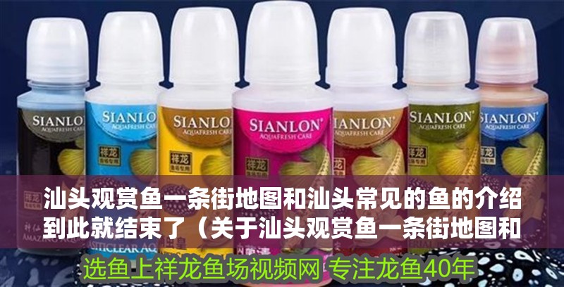 汕頭觀賞魚一條街地圖和汕頭常見的魚的介紹到此就結束了（關于汕頭觀賞魚一條街地圖和汕頭常見的魚）