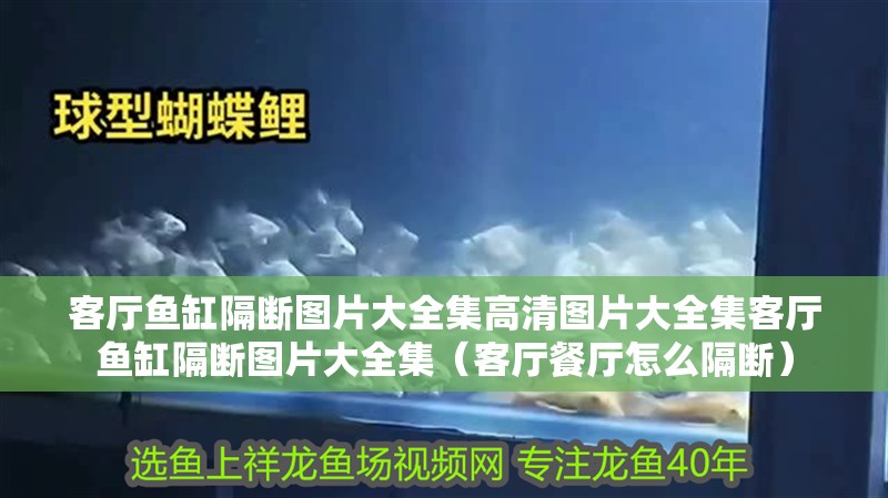 客廳魚缸隔斷圖片大全集高清圖片大全集客廳魚缸隔斷圖片大全集（客廳餐廳怎么隔斷）