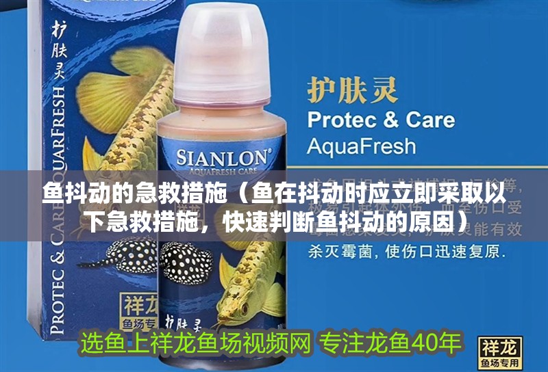 魚缸用增氧泵價格是多少:魚缸增氧機-xtrac增氧機-xtrac增氧機 魚抖動的急救措施(魚在抖動時應立即采取以下急救措施,快速判斷魚抖動的原因) 龍魚百科 魚抖動的急救措施(魚在抖動時應立即采取以下急救措施,快速判斷魚抖動的原因) 魚抖動的急救措施(魚在抖動時應立即采取以下急救措施,快速判斷魚抖動的原因) 龍魚百科