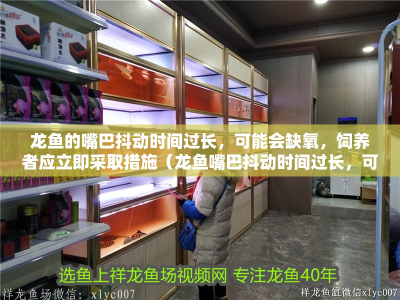 龍魚的嘴巴抖動時間過長，可能會缺氧，飼養者應立即采取措施（龍魚嘴巴抖動時間過長，可能會缺氧，飼養者應立即采取措施）