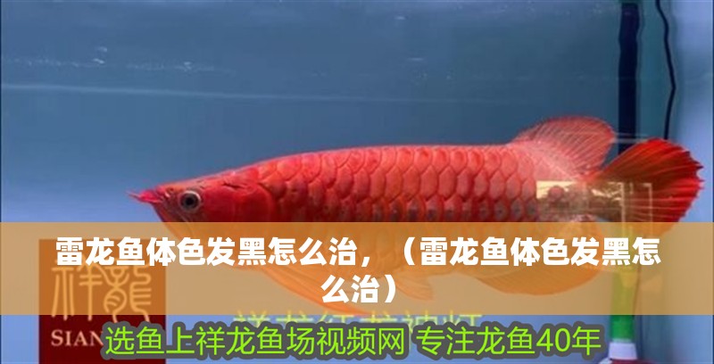 雷龍魚體色發(fā)黑怎么治，（雷龍魚體色發(fā)黑怎么治）