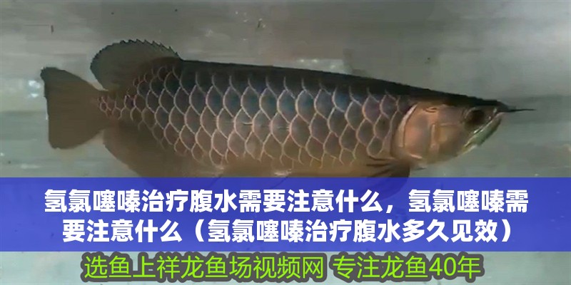 氫氯噻嗪治療腹水需要注意什么，氫氯噻嗪需要注意什么（氫氯噻嗪治療腹水多久見效）