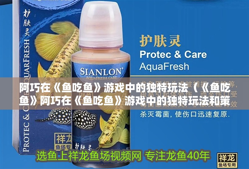 阿巧在《魚吃魚》游戲中的獨(dú)特玩法（《魚吃魚》阿巧在《魚吃魚》游戲中的獨(dú)特玩法和策略）