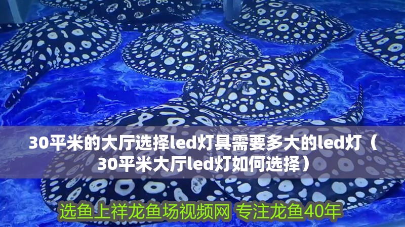 30平米的大廳選擇led燈具需要多大的led燈（30平米大廳led燈如何選擇）