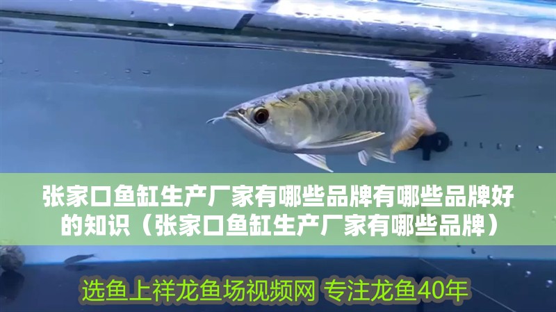 張家口魚缸生產廠家有哪些品牌有哪些品牌好的知識（張家口魚缸生產廠家有哪些品牌）