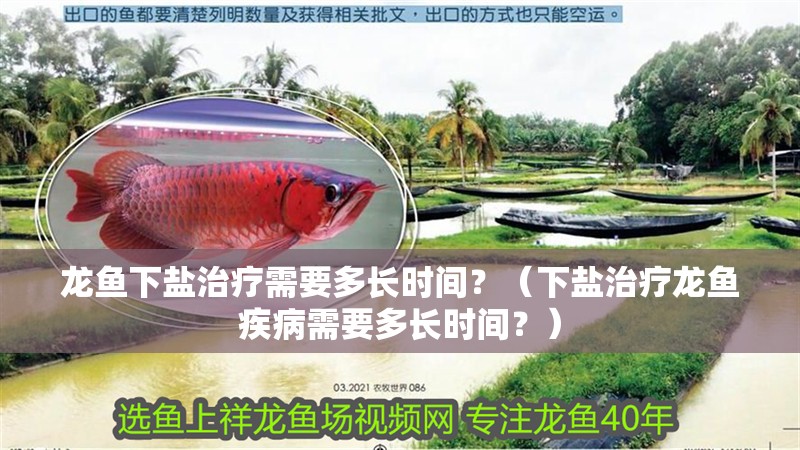 龍魚下鹽治療需要多長時(shí)間？（下鹽治療龍魚疾病需要多長時(shí)間？）