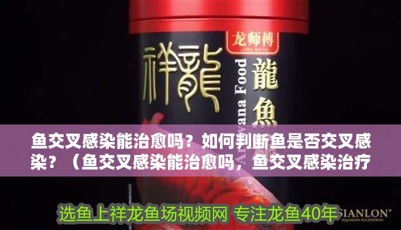 魚交叉感染能治愈嗎？如何判斷魚是否交叉感染？（魚交叉感染能治愈嗎，魚交叉感染治療時(shí)間表及解決方法）