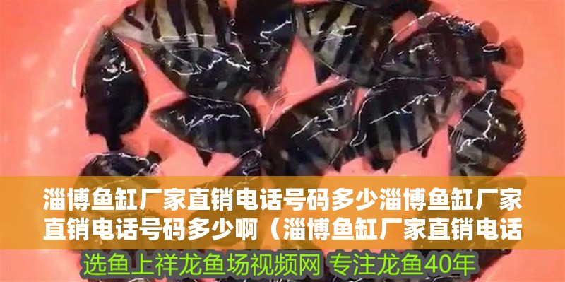 淄博魚缸廠家直銷電話號碼多少淄博魚缸廠家直銷電話號碼多少?。ㄗ筒~缸廠家直銷電話號碼多少）