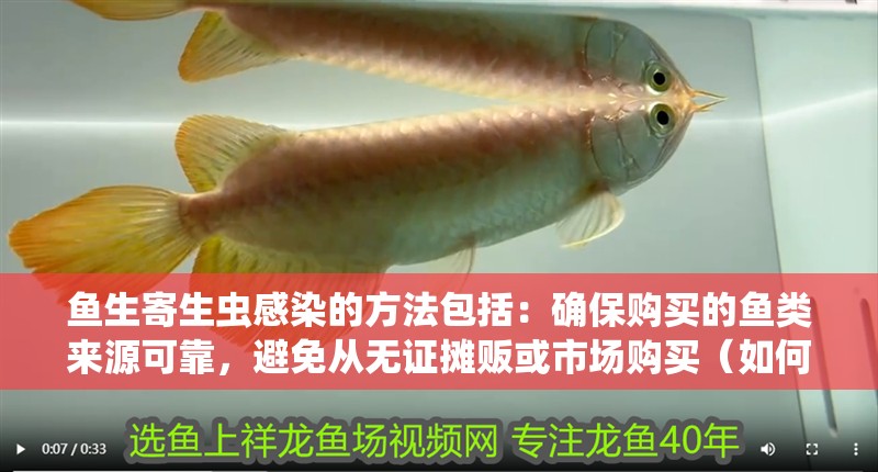 魚生寄生蟲感染的方法包括：確保購買的魚類來源可靠，避免從無證攤販或市場購買（如何預防魚生寄生蟲感染）