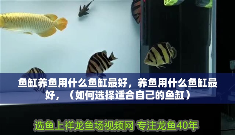 魚缸養(yǎng)魚用什么魚缸最好，養(yǎng)魚用什么魚缸最好，（如何選擇適合自己的魚缸）