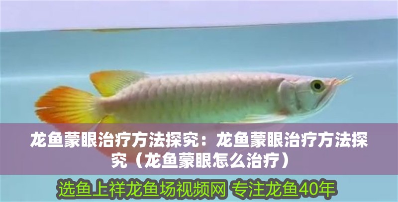 龍魚蒙眼治療方法探究：龍魚蒙眼治療方法探究（龍魚蒙眼怎么治療）