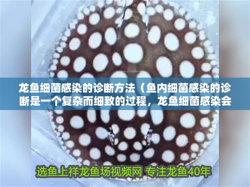 龍魚細菌感染的診斷方法（魚內細菌感染的診斷是一個復雜而細致的過程，龍魚細菌感染會自愈嗎）
