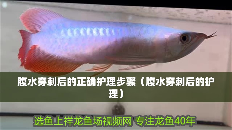 腹水穿刺后的正確護理步驟（腹水穿刺后的護理）