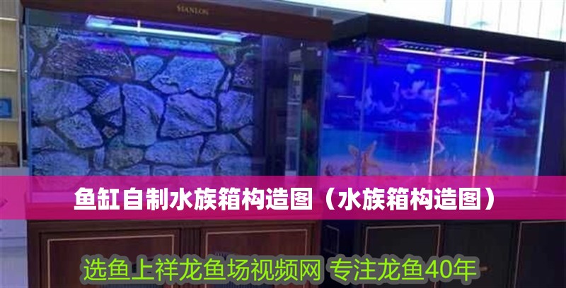 魚缸自制水族箱構造圖（水族箱構造圖）