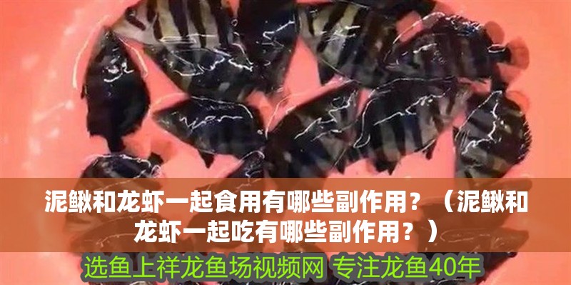 泥鰍和龍蝦一起食用有哪些副作用？（泥鰍和龍蝦一起吃有哪些副作用？）